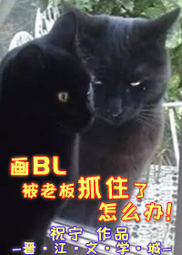 BLϰץסô졷ߣף/ԨVIPᣩTXT